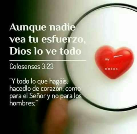 Dios valora tu esfuerzo 