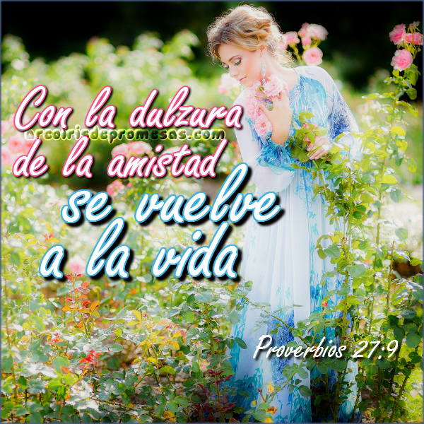 Ver las imágenes de origen