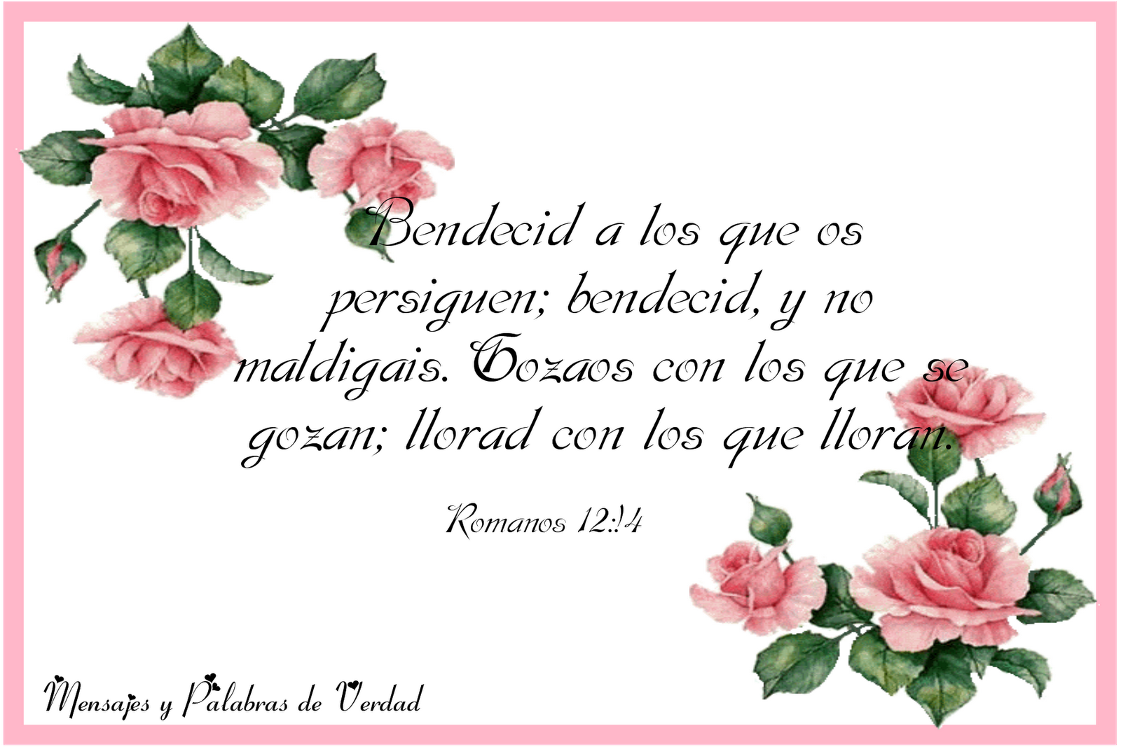 feliz día