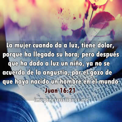 texto bíblico para madres