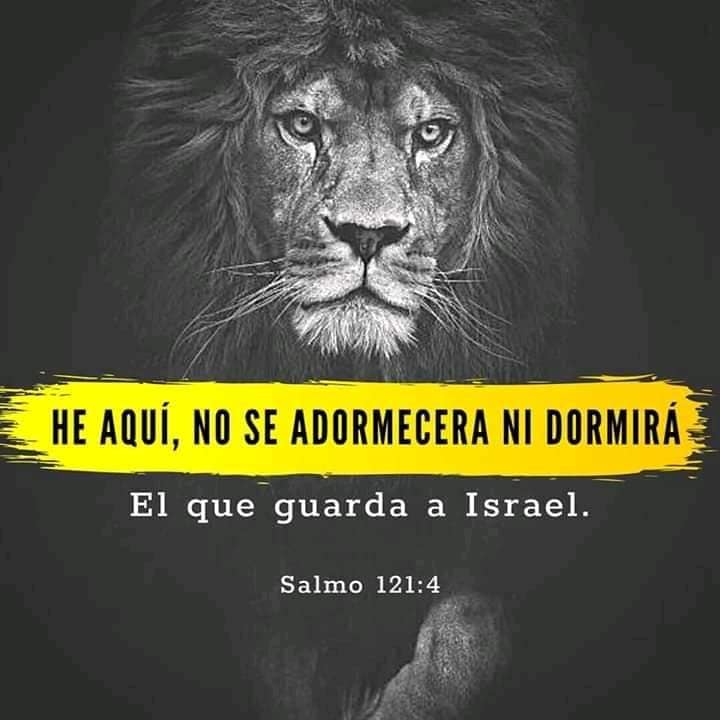 León cristiano