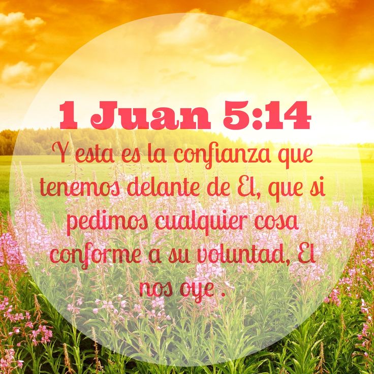 1 Juan 5:14