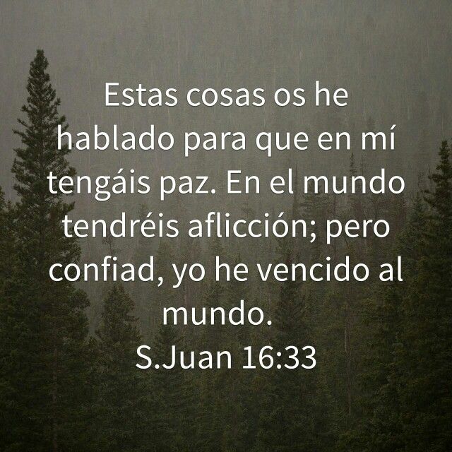Juan 16:33
