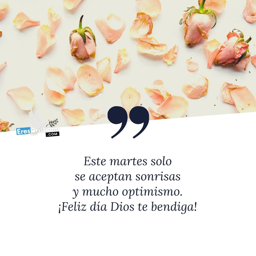 feliz martes frases