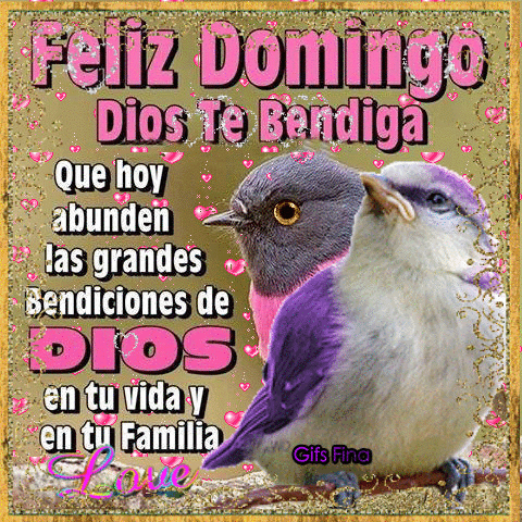 Imagenes De Buenos Dias Domingo Con Movimiento