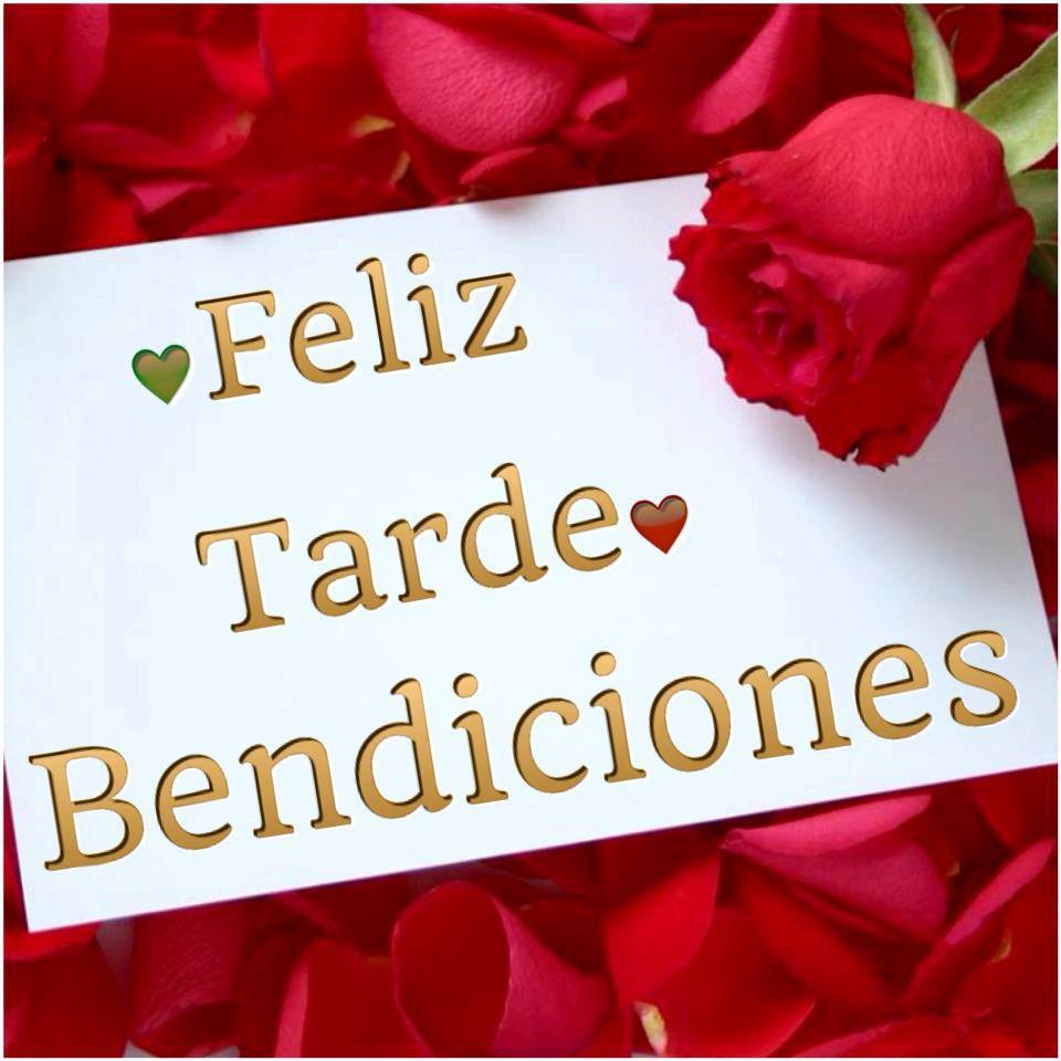 Feliz tarde