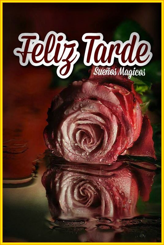 Feliz tarde