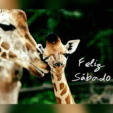 Feliz sábado