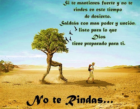No te rindas