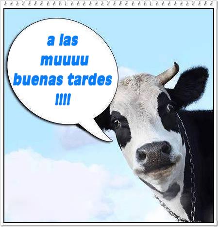 Buenas tardes