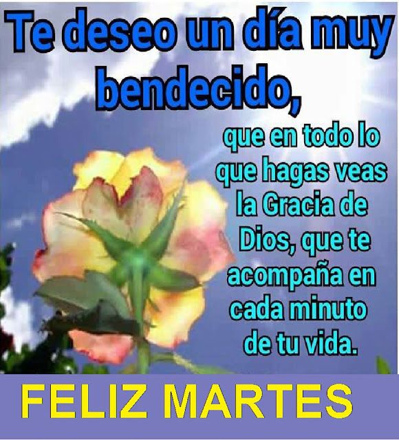 Feliz martes