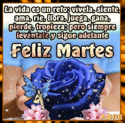 Feliz martes