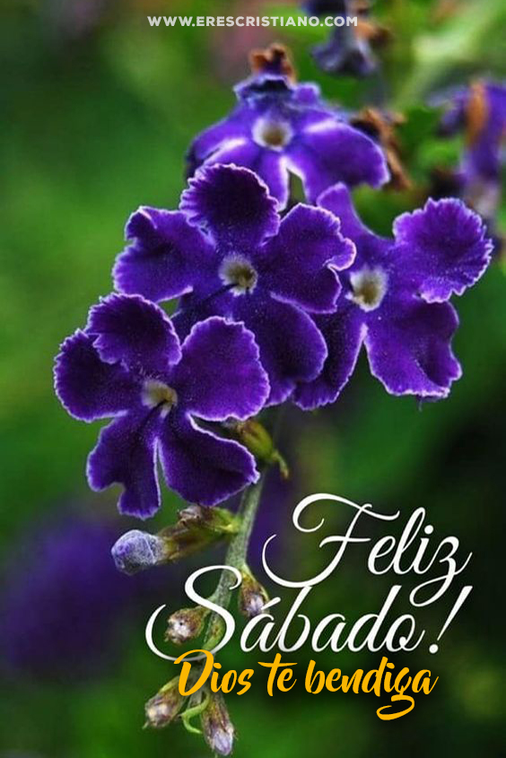 feliz sabado, Dios te bendiga