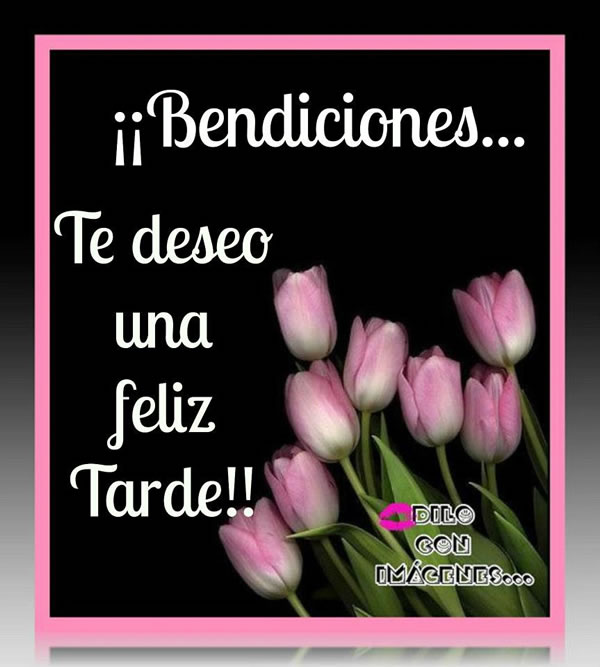Feliz tarde
