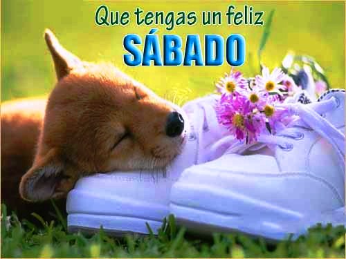 Feliz sábado