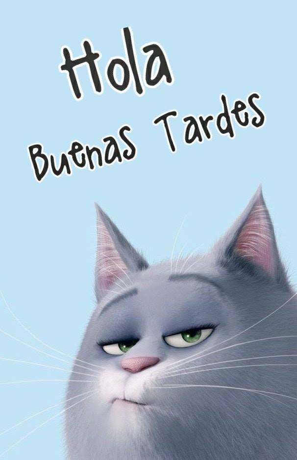 Buenas tardes