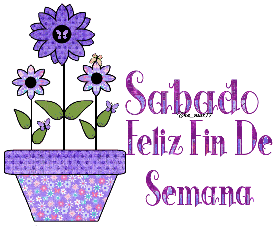 Feliz día