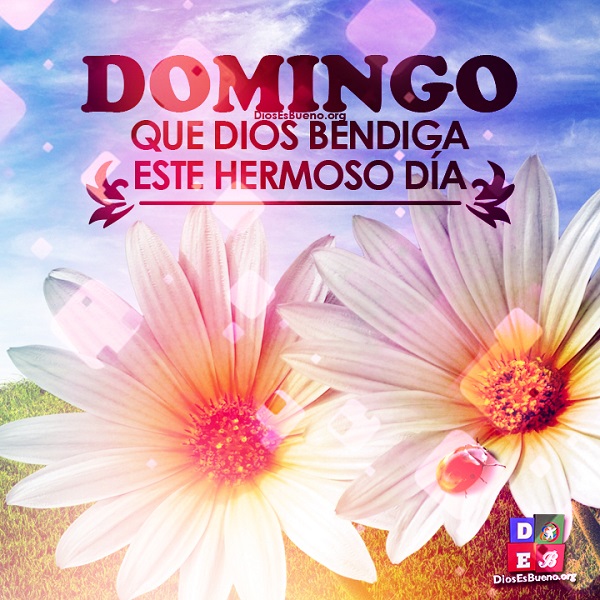 ▷ 100+ Imágenes Cristianas FELIZ DOMINGO Bonitas ❤️ .