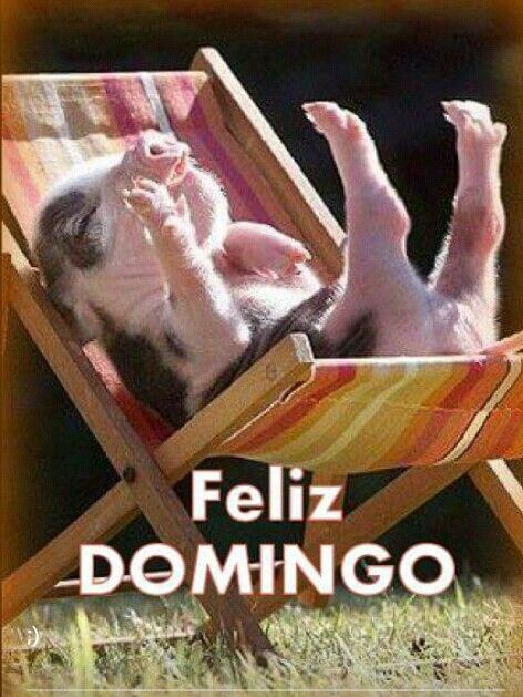 Feliz domingo