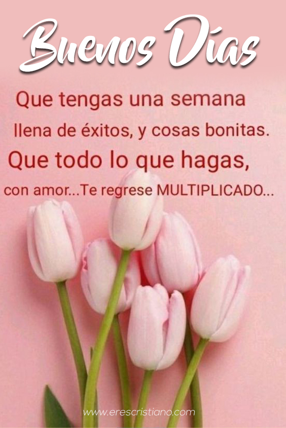 ▷ 100+ Imágenes Cristianas FELIZ INICIO DE SEMANA ▷ 100+ Imágenes Cristianas FELIZ INICIO DE SEMANA