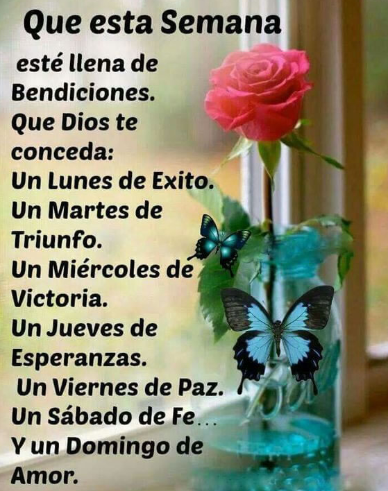 Inicio de semana