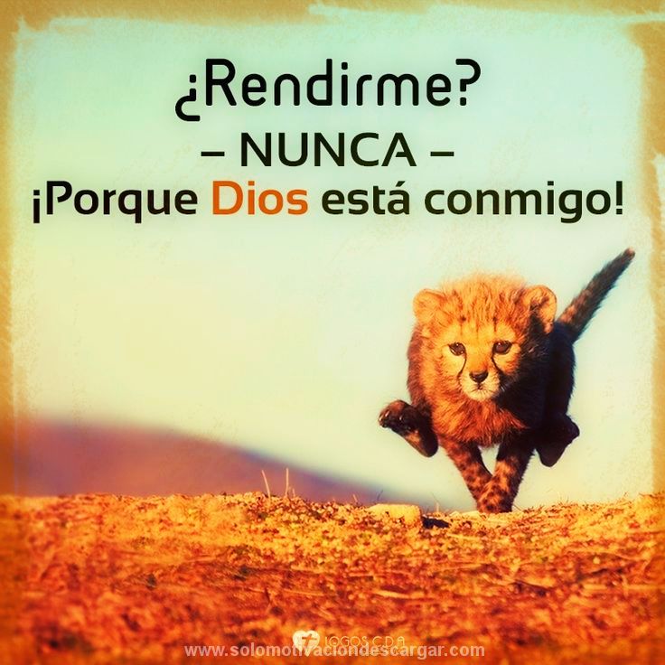 Nunca te rindas