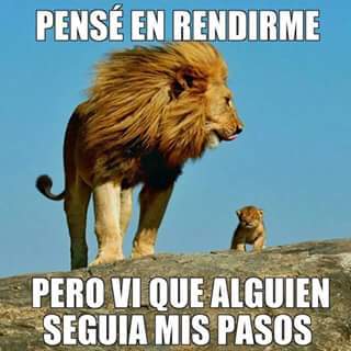 león y su hijo