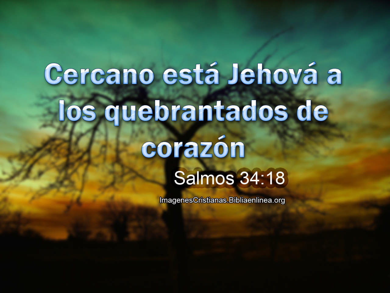 Campo