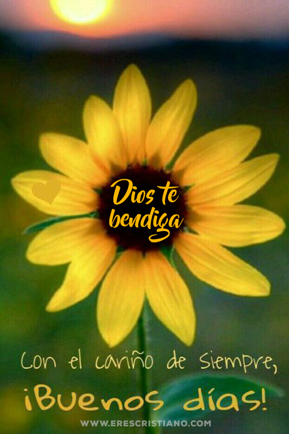 un nuevo día imágenes