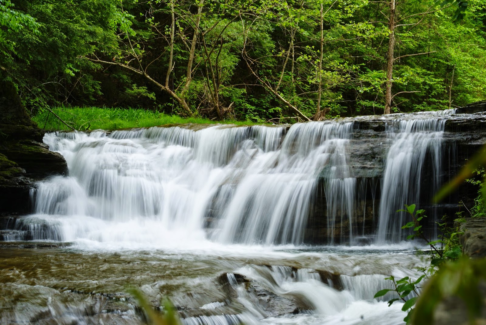 Catarata