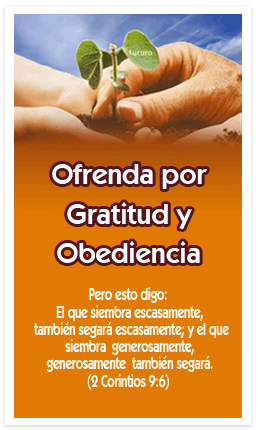 Manos de gratitud