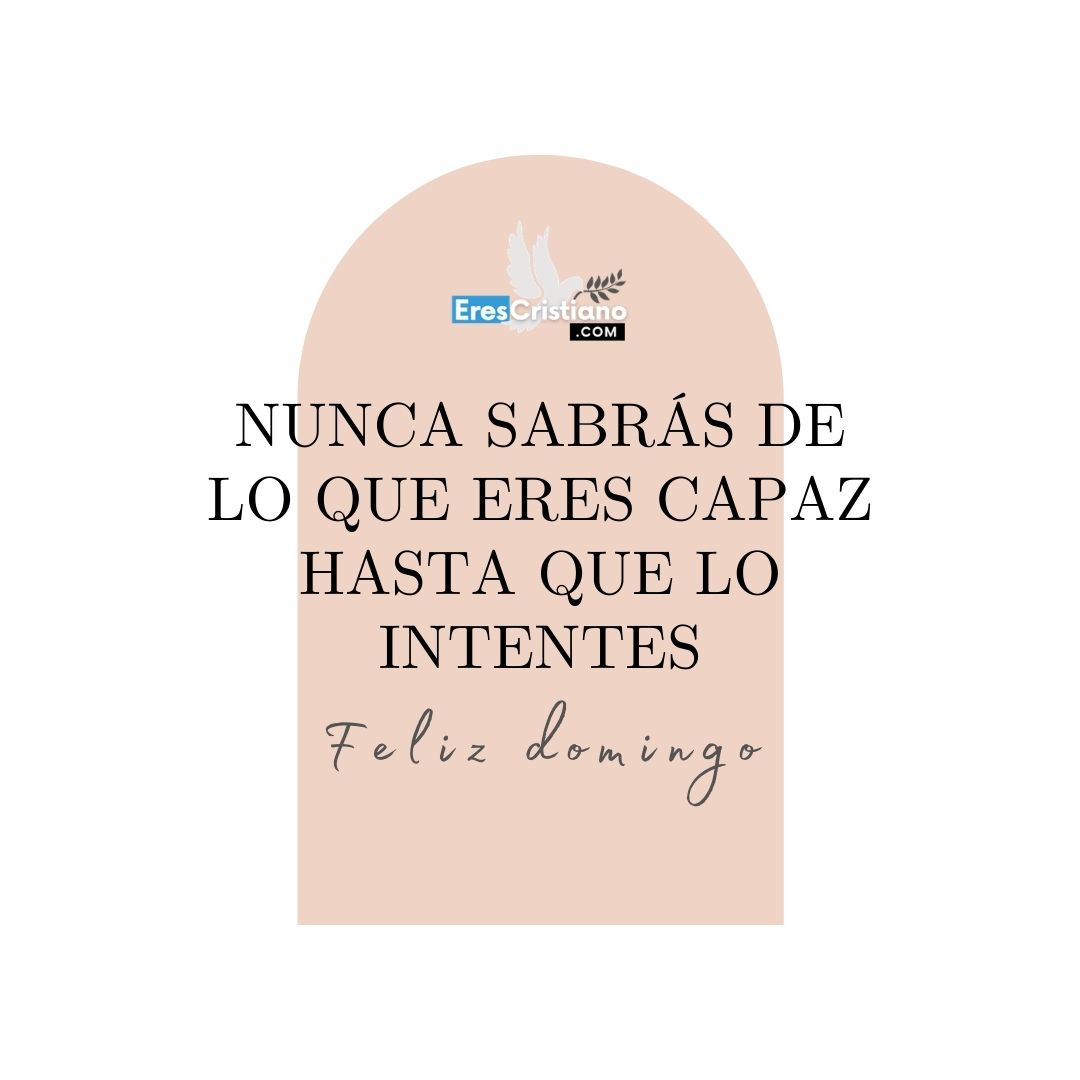 frases motivadoras para domingo