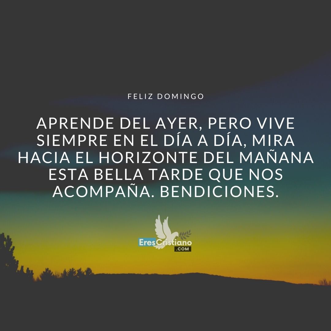 frases de domingo