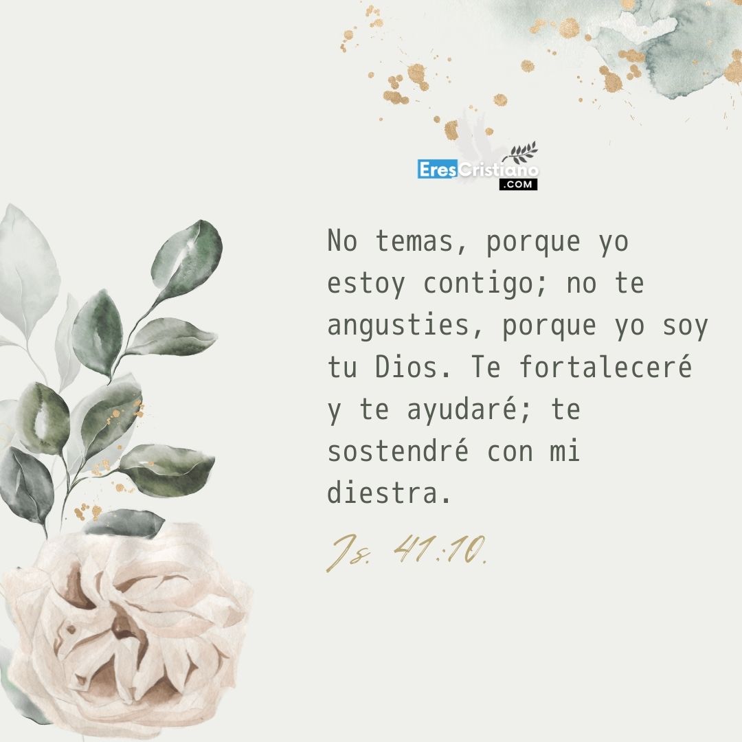 imagenes con citas biblicas de animo