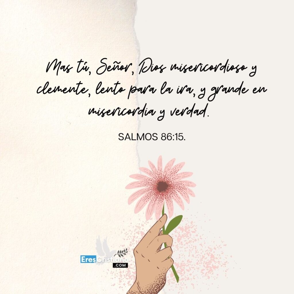 My Image 14