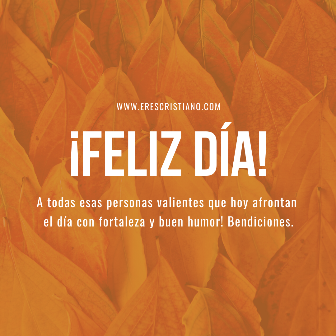 ▷ 100+ Imágenes Cristianas Feliz Miércoles ¡Muy Bonitas! ▷ 100+ Imágenes Cristianas Feliz Miércoles ¡Muy Bonitas!