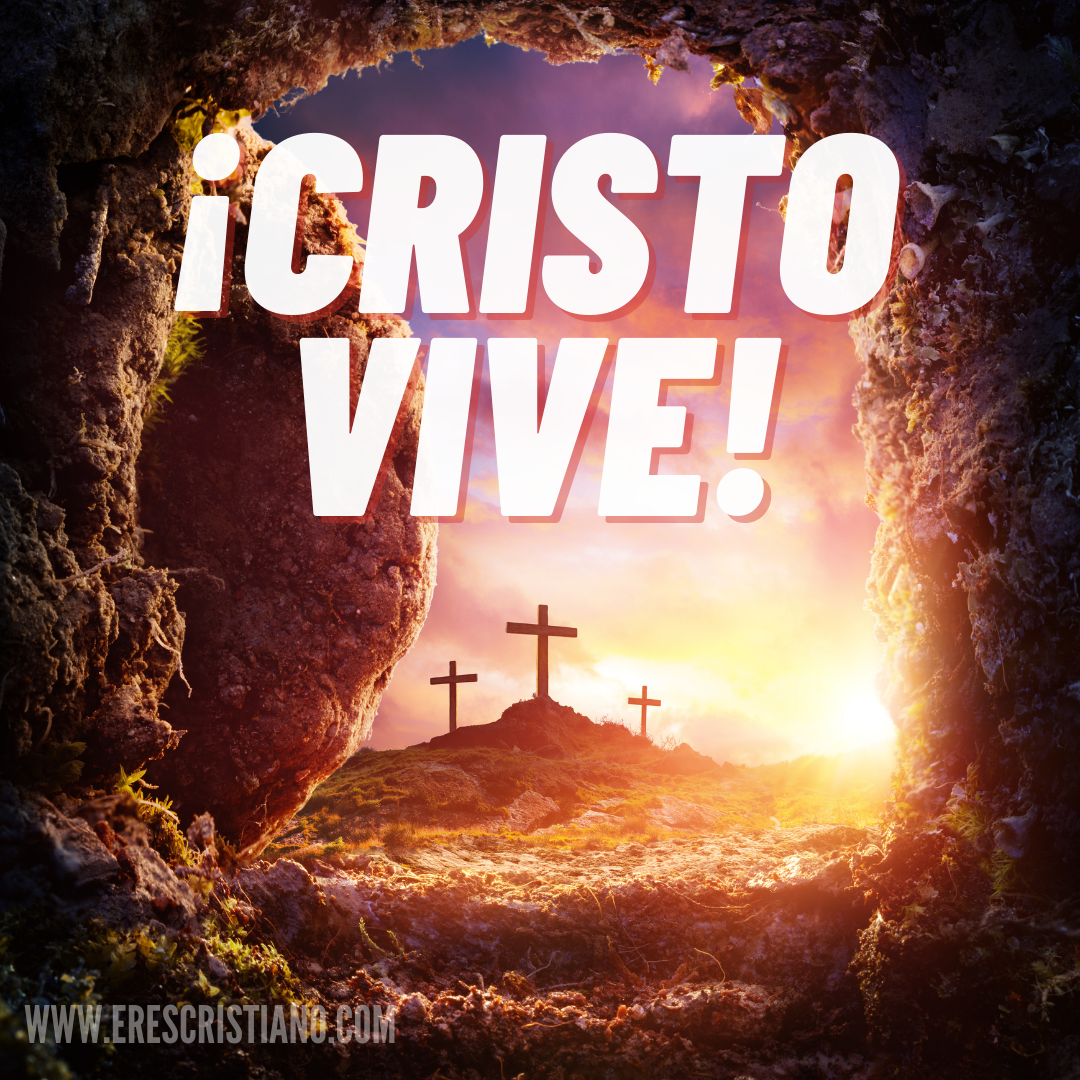Cristo Vive