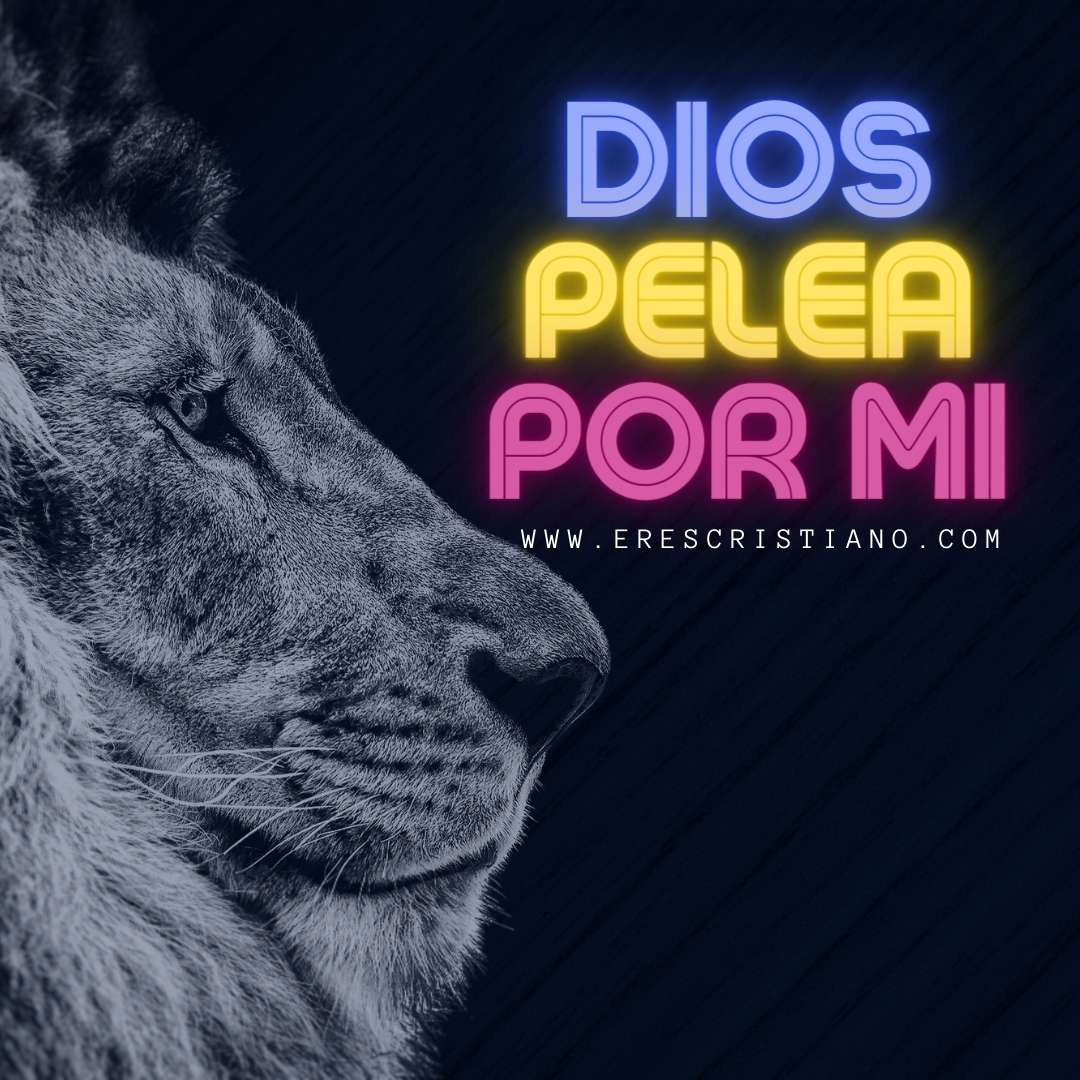 frases cristianas con leones