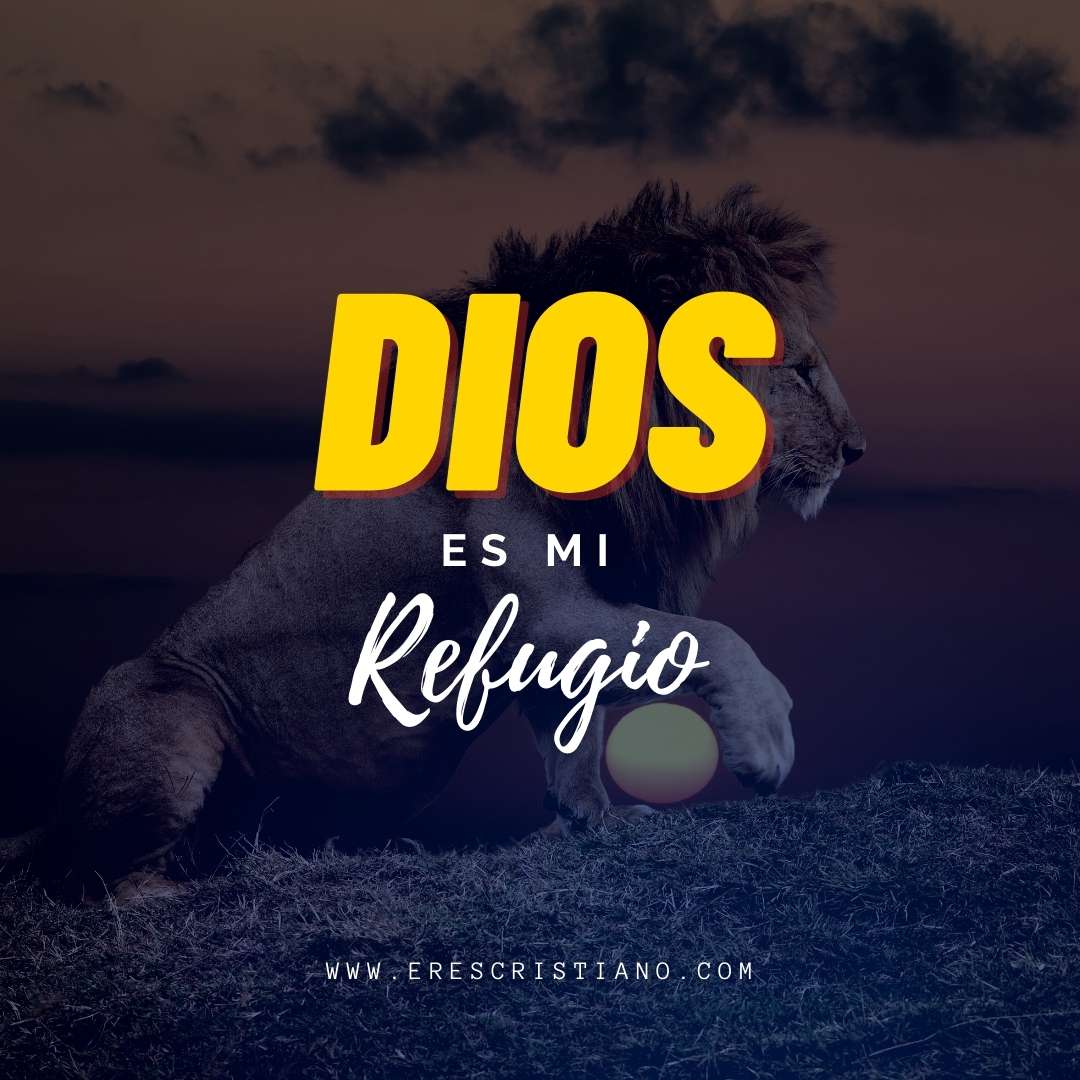 Dios y leones