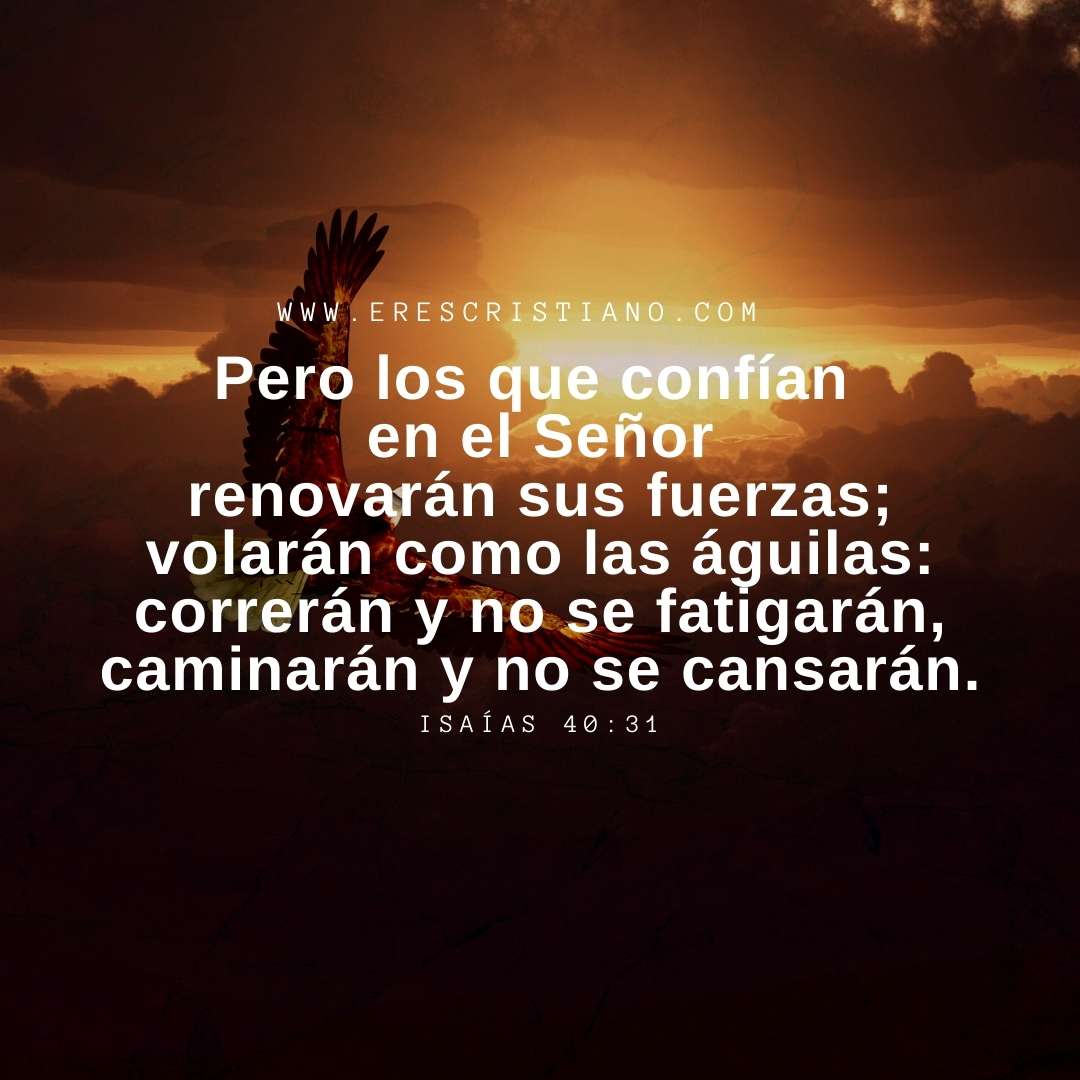 aguila y frases