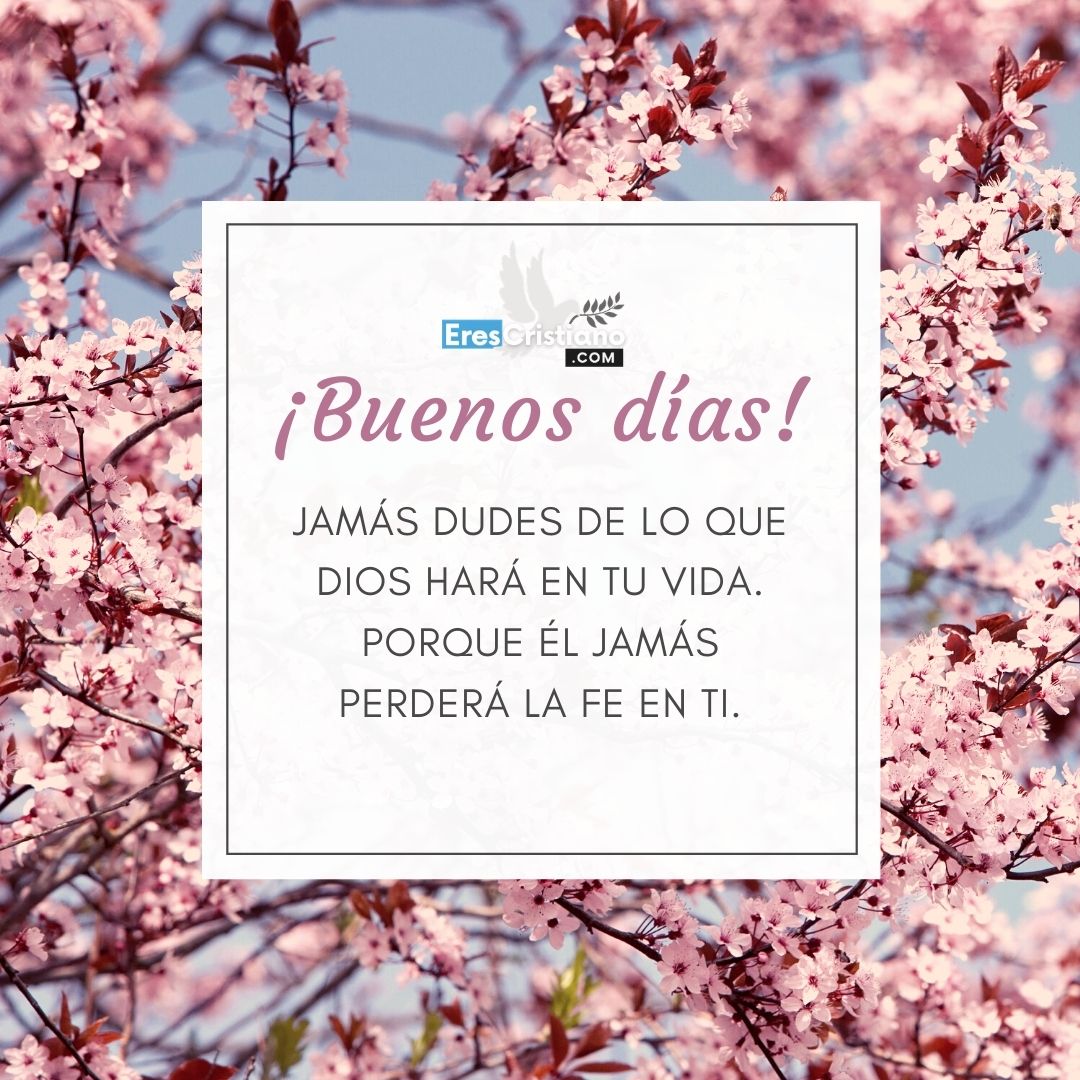 imágenes de buenos días mi amor