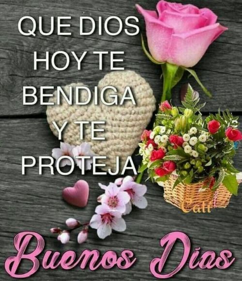 Dios te proteja