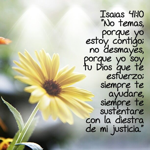 No temas