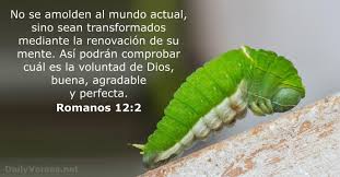 Su voluntad es perfecta