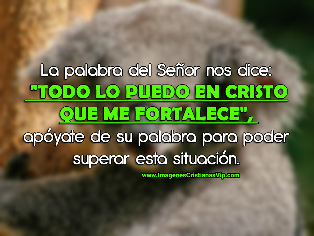 Filipenses 4:13