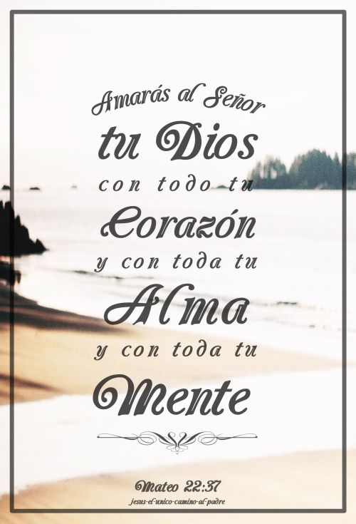 Ama a Dios por sobre todo