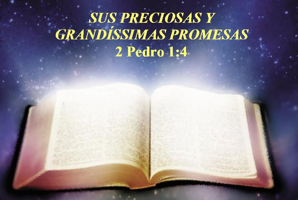 Grandes sus promesas