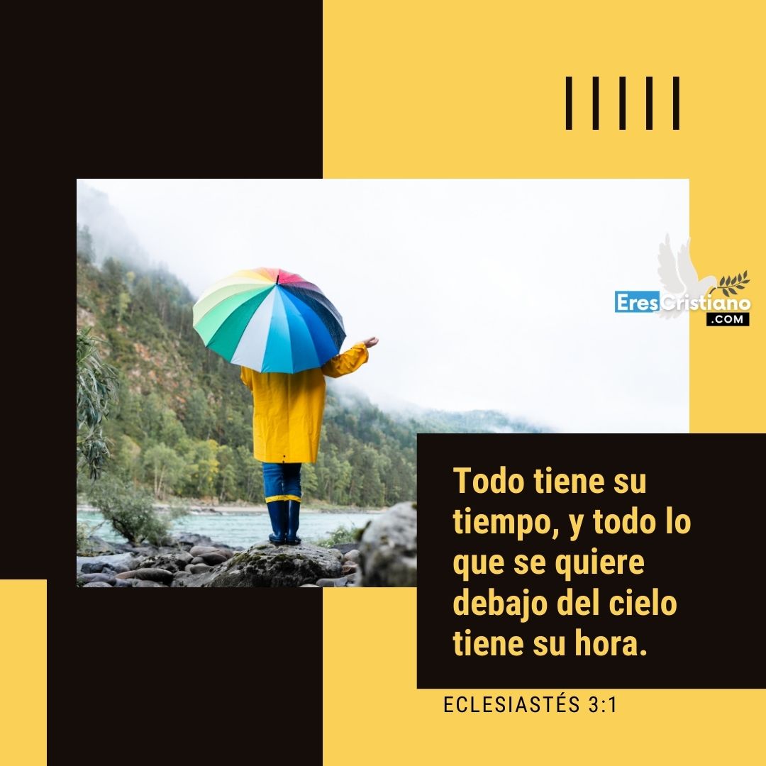 imágenes con mensajes bíblicos de buenos días