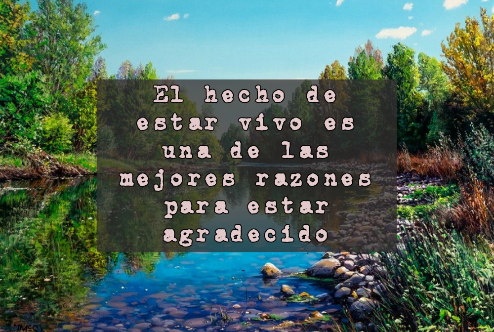 Agradece siempre