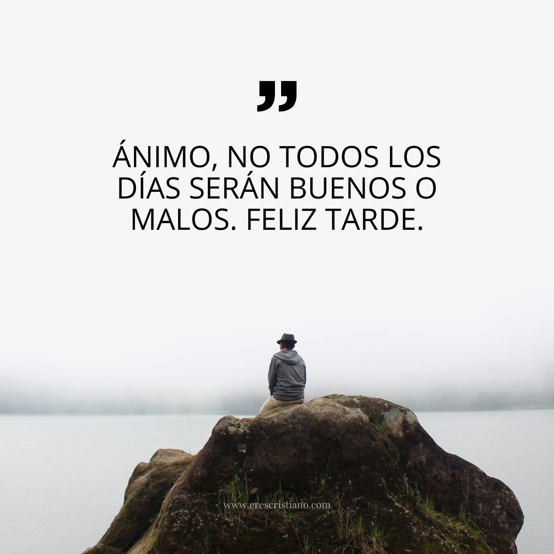 feliz tarde con frases bonitas